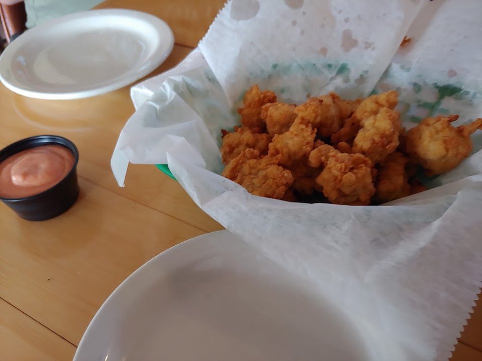 Gator Bites